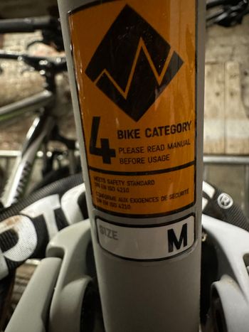 Used Canyon Strive CFR Underdog 2024 2024 Mountainbike, Orange, 29 — image 2 of 8
