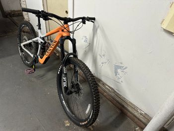 Canyon, Strive CFR Underdog 2024