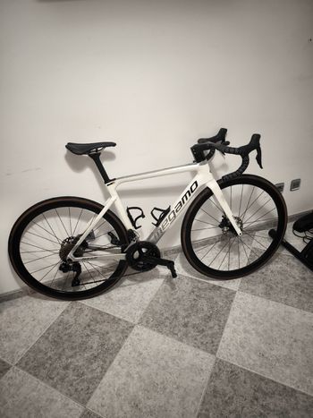 Megamo, PULSE ELITE 15 SH12 2023