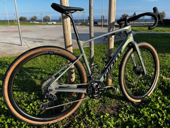 Giant, Revolt Advanced 0 2025