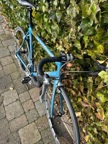 Used Cannondale Caad Shimano Ultegra 2004 Road & Gravel, Blue — image 5 of 6