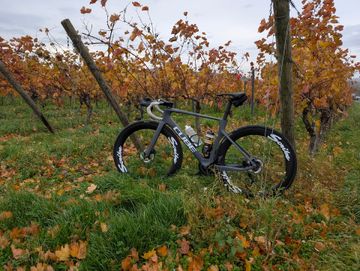 Used CUBE AGREE C:62 2023 Frameset 2023 Road & Gravel, Light Gray — image 4 of 6