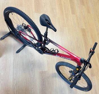 Used Lee Cougan Lee Cougan Rampage Innova Taglia M | 2024 - NO RUOTE 2024 Mountainbike — image 24 of 25