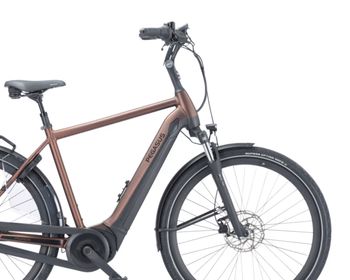 Used Pegasus Ravenna Evo 7F Disc, 500 Wh 2023 Urban — image 3 of 3