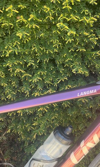Used Liv Langma Shimano Ultegra Di2 2025 Road & Gravel, Purple — image 2 of 8