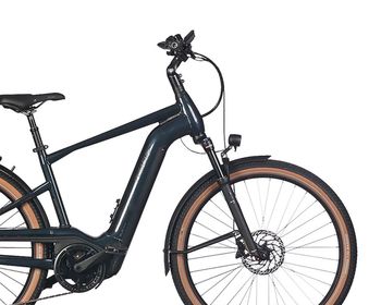 Used Pegasus Savino Evo 12 Lite, 750 Wh 2025 Urban, Grün — image 3 of 3
