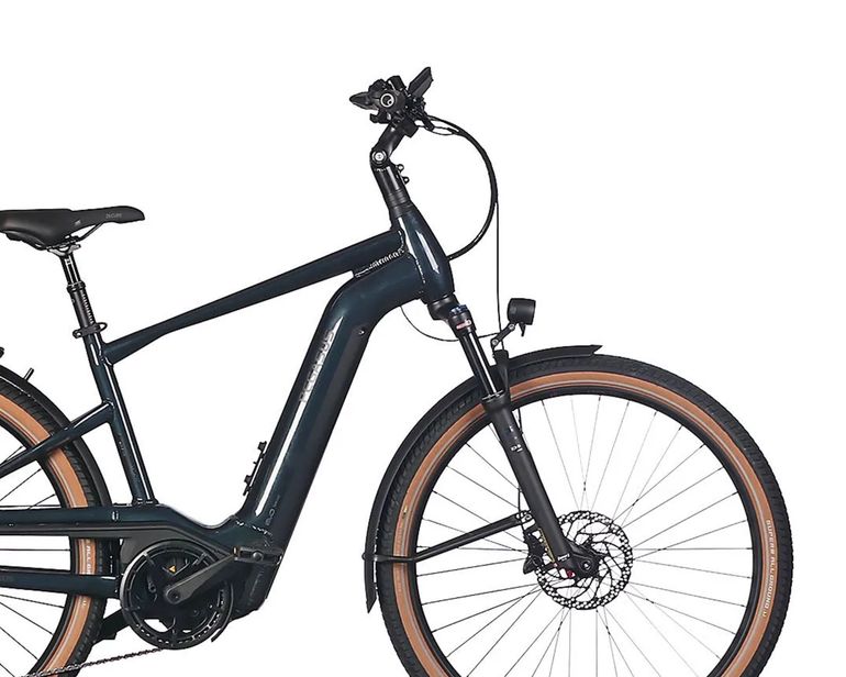 Used Pegasus Savino Evo 12 Lite, 750 Wh 2025 Urban, Grün — image 3 of 3