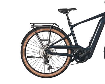 Used Pegasus Savino Evo 12 Lite, 750 Wh 2025 Urban, Grün — image 2 of 3