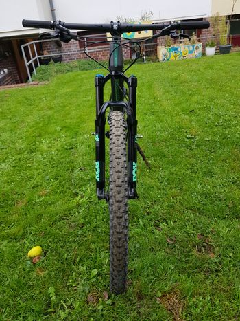 Used Orbea OCCAM TR M30 2019 2019 Mountainbike, Black, 29 — image 12 of 14