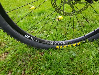Used Orbea OCCAM TR M30 2019 2019 Mountainbike, Black, 29 — image 9 of 14