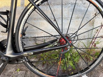 Used Trek Madone SRAM Force 2017 Road & Gravel, Black — image 3 of 5