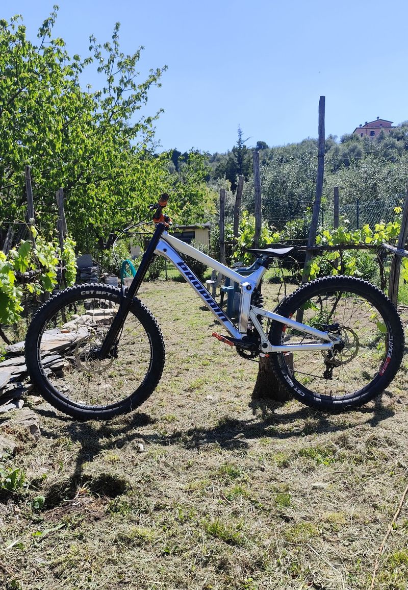 Used Propain Rage SRAM GX 2019 Mountainbike, Light Gray — image 3 of 7