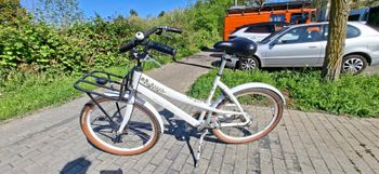 PUCH, PUCH Custom Shimano Nexus Hub Gear