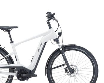 Used Pegasus Savino Evo 5F Lite, 750 Wh 2025 Urban, Hellgrau — image 6 of 6
