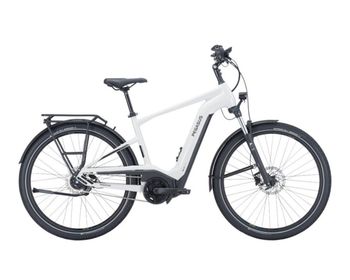 Used Pegasus Savino Evo 5F Lite, 750 Wh 2025 Urban, Hellgrau — image 4 of 6
