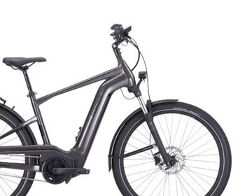 Used Pegasus Savino Evo 5F Lite, 750 Wh 2025 Urban, Hellgrau — image 3 of 6
