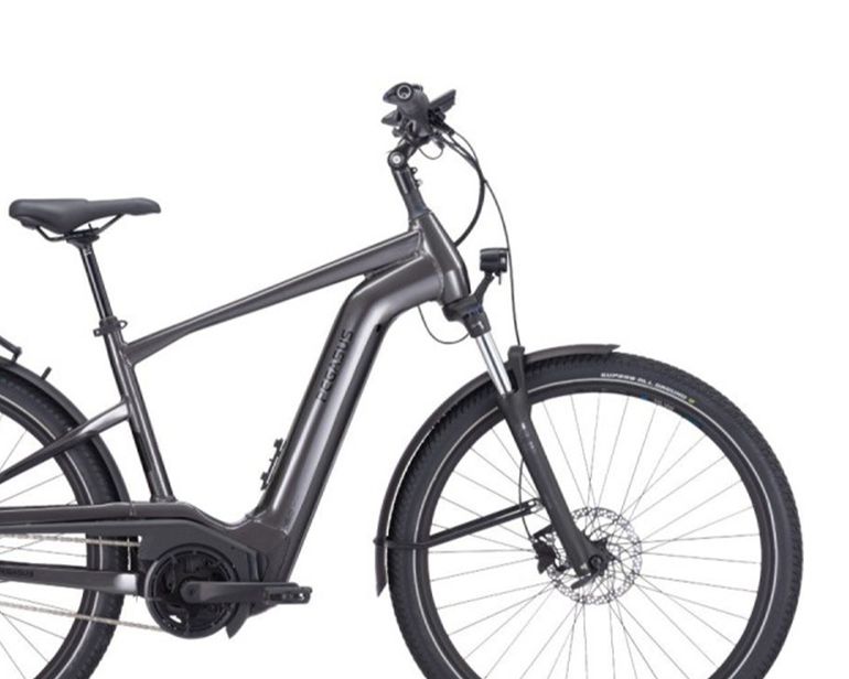 Used Pegasus Savino Evo 5F Lite, 750 Wh 2025 Urban, Hellgrau — image 3 of 6