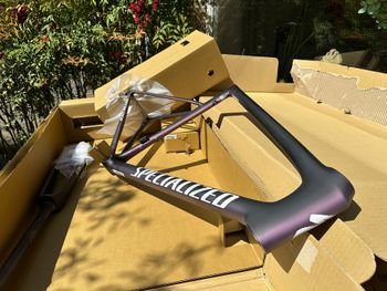 Specialized, Tarmac SL8 Frameset 2026 Frameset