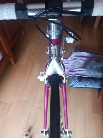 Used tvt92 Tvt92 Custom Other Campagnolo 1992 Road & Gravel, Purple — image 8 of 10