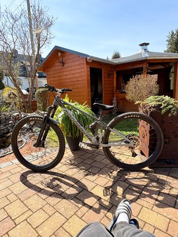 Mondraker, RAZE 2024