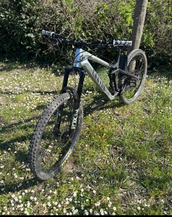 Canyon, Strive CFR Underdog 2025