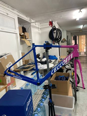 Used Ceccotti Ceccotti Custom Frameset 2024 Road & Gravel
