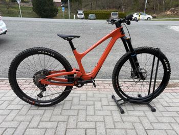 Bold, Linkin 150 Pro 2024