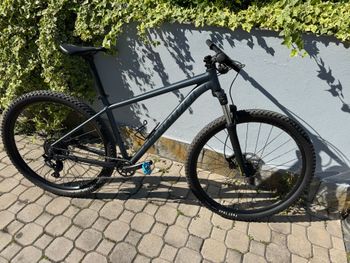 Specialized, Rockhopper Comp 29 2022