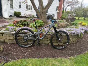 Transition, Transition Patrol Carbon