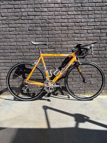 Batavus, Batavus Custom Shimano Ultegra
