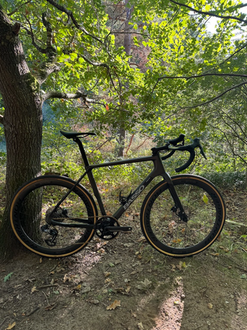 Basso, Basso Palta - Phantom Black