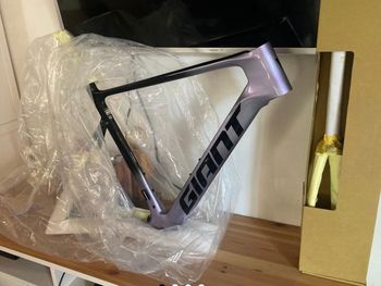 Giant, Propel Advanced SL Frameset 2025 Frameset