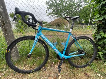 Focus, Cayo Modèle AG2R