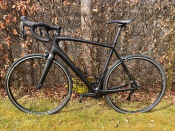 Used Specialized Men's Tarmac Elite 2018 2018 Road & Gravel, Black — image 8 of 8
