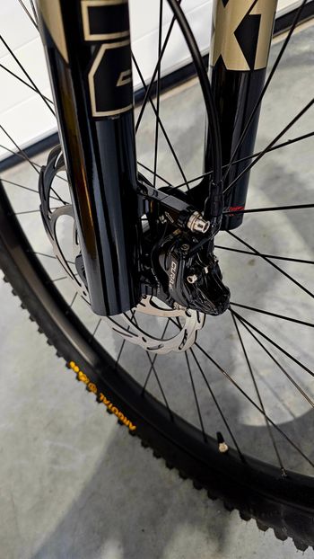 Used Pedroni Mate 2025 Mountainbike, Schwarz — image 6 of 13