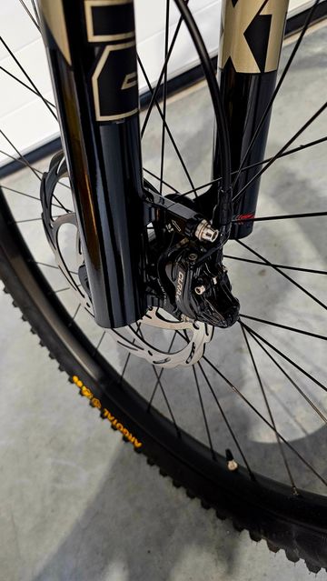 Used Pedroni Mate 2025 Mountainbike, Black — image 6 of 13