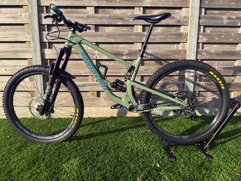Santa Cruz, Bronson 3 AL S MD Olive 2021