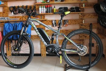 Atala, B Cross