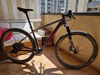 Massi, Massi Team 29'' New Elite 2021