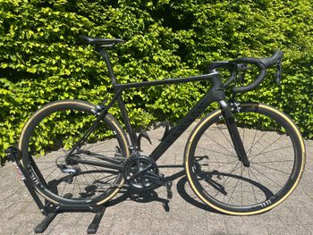 Canyon, Ultimate CF SL 8.0 2019