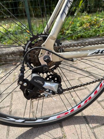 Used Atala Bici Trekking Atala Time Out 28” – 21 Velocità Shimano – Telaio Alluminio 2009 Urban, Light Gray — image 5 of 12