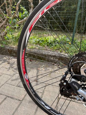 Used Atala Bici Trekking Atala Time Out 28” – 21 Velocità Shimano – Telaio Alluminio 2009 Urban, Light Gray — image 11 of 12