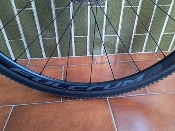 Used Cinelli Cinelli King Zydeco 2024 Road & Gravel, Green — image 5 of 5