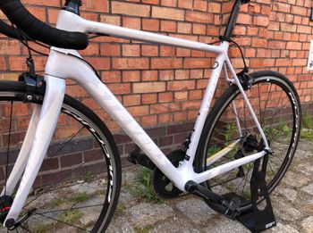 Used Stevens Stevens Custom Shimano Ultegra 2020 Road & Gravel, Blanco — image 2 of 11