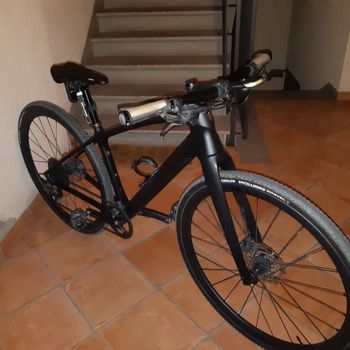 Trek, FX Sport SL 6 2023