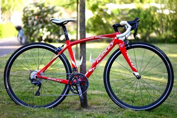 Ridley, Liz Shimano Ultegra