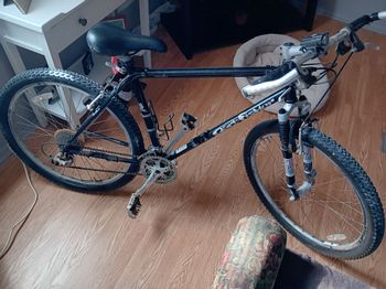 Used Gary Fisher Big Sur 2002 2002 Mountainbike, Black, 26 — image 3 of 4