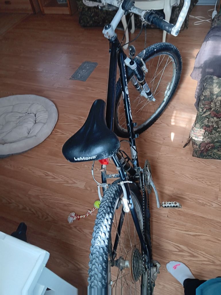 Used Gary Fisher Big Sur 2002 2002 Mountainbike, Black, 26 — image 2 of 4