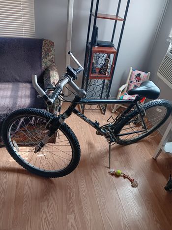 Used Gary Fisher Big Sur 2002 2002 MTB