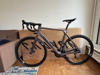 Canyon, Endurace CF SLX 7 Di2 2026